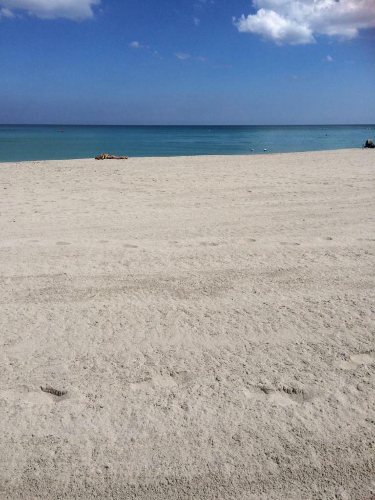 Hollywood Apartment By The Sea ภายนอก รูปภาพ